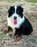 processed/29a1cfa2-510e-4076-a4f6-7051c8bdd311/listing/b4f2deed-bc48-43b2-85a2-cb3fbef3d19f/6d9588be-23c5-47e8-a71f-a8add7fd2358