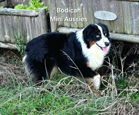 processed/29a1cfa2-510e-4076-a4f6-7051c8bdd311/listing/b4f2deed-bc48-43b2-85a2-cb3fbef3d19f/73130304-c6b8-4078-8d47-1b329a541871