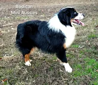 processed/29a1cfa2-510e-4076-a4f6-7051c8bdd311/listing/b4f2deed-bc48-43b2-85a2-cb3fbef3d19f/995569c5-78f8-40cd-98c4-460b7195e89b