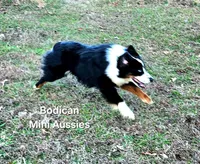 processed/29a1cfa2-510e-4076-a4f6-7051c8bdd311/listing/b4f2deed-bc48-43b2-85a2-cb3fbef3d19f/c35ed60f-fd7c-40b0-907d-fef1519cde13