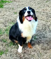 processed/29a1cfa2-510e-4076-a4f6-7051c8bdd311/listing/b4f2deed-bc48-43b2-85a2-cb3fbef3d19f/d6905577-72bb-4a56-a10c-761339c357d6