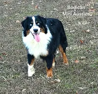 processed/29a1cfa2-510e-4076-a4f6-7051c8bdd311/listing/b4f2deed-bc48-43b2-85a2-cb3fbef3d19f/eee4d7f8-9f21-46f4-891a-b6cbb3906cb2