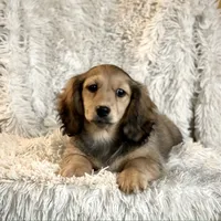 processed/29bc51a8-a482-4c91-a289-d55609c982cc/facility/9fe37e58-b29a-42e7-a2ed-a944f2596f35