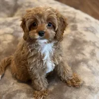 processed/29beb4aa-cca6-4519-8267-2933a8e4807d/facility/8c900948-d16b-4fed-9bab-9f1aaf4b8501