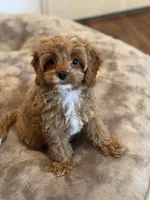 processed/29beb4aa-cca6-4519-8267-2933a8e4807d/facility/8c900948-d16b-4fed-9bab-9f1aaf4b8501