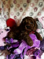 processed/29beb4aa-cca6-4519-8267-2933a8e4807d/listing/09052c77-f324-40f6-bc86-1301dc50fce3/2adf0d3d-e264-45f2-9a73-acf79de60c95