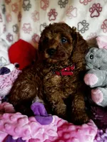 processed/29beb4aa-cca6-4519-8267-2933a8e4807d/listing/09052c77-f324-40f6-bc86-1301dc50fce3/5056f09b-89c4-440b-b73e-2d22b6968091