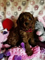 processed/29beb4aa-cca6-4519-8267-2933a8e4807d/listing/09052c77-f324-40f6-bc86-1301dc50fce3/6cbe8ffa-3329-4464-bfbf-1469d22fb098