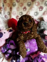 processed/29beb4aa-cca6-4519-8267-2933a8e4807d/listing/09052c77-f324-40f6-bc86-1301dc50fce3/a71cbbda-83fc-4c30-87fd-f6046c2bdb71