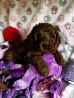 processed/29beb4aa-cca6-4519-8267-2933a8e4807d/listing/09052c77-f324-40f6-bc86-1301dc50fce3/b85e5edd-6b3f-49f1-bcfb-c78e41f54cae