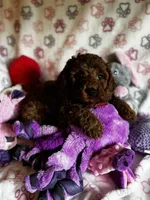 processed/29beb4aa-cca6-4519-8267-2933a8e4807d/listing/09052c77-f324-40f6-bc86-1301dc50fce3/d8e3976b-e7ce-4006-85be-81e748fb6fad