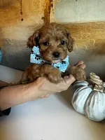 processed/29beb4aa-cca6-4519-8267-2933a8e4807d/listing/14a9e0fe-8648-43f4-8b29-2e222cc5c07d/b87fda0d-d122-462b-acce-bee26e25e863