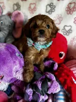 processed/29beb4aa-cca6-4519-8267-2933a8e4807d/listing/14a9e0fe-8648-43f4-8b29-2e222cc5c07d/f88ef562-de03-4abe-afda-83bc5517f795