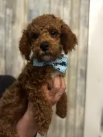 processed/29beb4aa-cca6-4519-8267-2933a8e4807d/listing/15ceb27d-b28d-4f8a-9149-9228ce357053/06cd7930-d15a-4cd4-8f7c-6f2c20653563