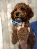 processed/29beb4aa-cca6-4519-8267-2933a8e4807d/listing/15ceb27d-b28d-4f8a-9149-9228ce357053/71e262b2-af00-4b02-ac19-4afec25cf94e