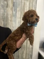 processed/29beb4aa-cca6-4519-8267-2933a8e4807d/listing/15ceb27d-b28d-4f8a-9149-9228ce357053/8062e33e-b41e-4558-b653-c28c97514e30