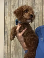 processed/29beb4aa-cca6-4519-8267-2933a8e4807d/listing/15ceb27d-b28d-4f8a-9149-9228ce357053/95ca8d91-82c0-430d-9e57-120062542611