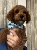 processed/29beb4aa-cca6-4519-8267-2933a8e4807d/listing/15ceb27d-b28d-4f8a-9149-9228ce357053/99001386-5f77-4a67-803c-e9ed9b4b80f1