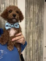 processed/29beb4aa-cca6-4519-8267-2933a8e4807d/listing/15ceb27d-b28d-4f8a-9149-9228ce357053/fe3536c0-20dc-482b-92d8-f85cf3746583