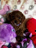 processed/29beb4aa-cca6-4519-8267-2933a8e4807d/listing/3d05c27e-5a68-492d-be8f-2fd748ec275c/0a8017f9-9ec5-4b6a-96db-8711b9bb7ca0