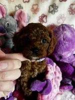 processed/29beb4aa-cca6-4519-8267-2933a8e4807d/listing/3d05c27e-5a68-492d-be8f-2fd748ec275c/2befbd0b-8823-4c68-a858-b535f9aaeb66