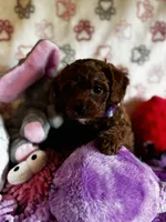 processed/29beb4aa-cca6-4519-8267-2933a8e4807d/listing/3d05c27e-5a68-492d-be8f-2fd748ec275c/3b5a1ac8-012e-4a78-83ff-f4a03b28e446