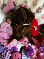 processed/29beb4aa-cca6-4519-8267-2933a8e4807d/listing/3d05c27e-5a68-492d-be8f-2fd748ec275c/b5b4a68c-8e49-4f70-a68f-6a5c4265156e