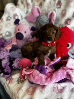 processed/29beb4aa-cca6-4519-8267-2933a8e4807d/listing/6f17b986-cdb8-4670-b94c-d40092f772ee/47474f11-9952-4a44-aa91-c4d0f4622fd5