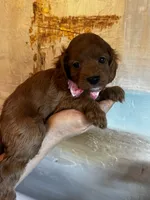 processed/29beb4aa-cca6-4519-8267-2933a8e4807d/listing/6f17b986-cdb8-4670-b94c-d40092f772ee/64b36f35-d3be-46c1-8cde-a61430171acf