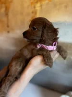 processed/29beb4aa-cca6-4519-8267-2933a8e4807d/listing/6f17b986-cdb8-4670-b94c-d40092f772ee/7d625866-1b12-44f1-9984-767c6c92913e