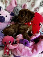 processed/29beb4aa-cca6-4519-8267-2933a8e4807d/listing/6f17b986-cdb8-4670-b94c-d40092f772ee/86def30e-4de7-446f-bfed-39b5763ccf77