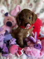 processed/29beb4aa-cca6-4519-8267-2933a8e4807d/listing/6f17b986-cdb8-4670-b94c-d40092f772ee/cd4b1e26-370d-46bb-98a5-c76bce7f1d92