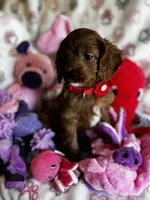 processed/29beb4aa-cca6-4519-8267-2933a8e4807d/listing/6f17b986-cdb8-4670-b94c-d40092f772ee/e6b684ef-7bf8-475e-a519-ce6a4e7c1655