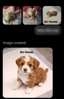 Bri, a female Miniature Goldendoodle for sale in Milford, UT – Photo 1 of 3