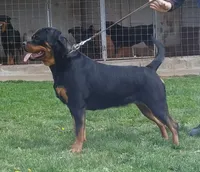 processed/29c8aead-59b4-4205-8451-a39a603cb618/facility/82245d3c-4706-4811-940f-23792ab08ee2