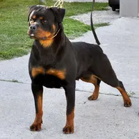 processed/29c8aead-59b4-4205-8451-a39a603cb618/facility/831bb041-83bc-4d75-8133-572c85af0f6d