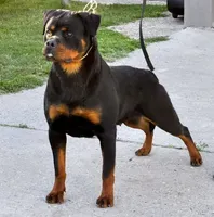 processed/29c8aead-59b4-4205-8451-a39a603cb618/facility/831bb041-83bc-4d75-8133-572c85af0f6d