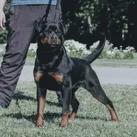 processed/29c8aead-59b4-4205-8451-a39a603cb618/facility/b84a62ca-7e09-4d2e-b8a7-90d55dade095