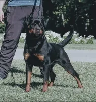 processed/29c8aead-59b4-4205-8451-a39a603cb618/facility/b84a62ca-7e09-4d2e-b8a7-90d55dade095