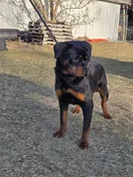 processed/29c8aead-59b4-4205-8451-a39a603cb618/listing/1c42e1c9-174b-4f93-8370-a284170dafd0/12399597-5ade-4685-b7a8-07e288d227d5