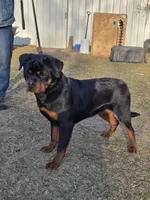 processed/29c8aead-59b4-4205-8451-a39a603cb618/listing/1c42e1c9-174b-4f93-8370-a284170dafd0/3a7ded17-ae3c-49da-9dee-b21b39a872a9