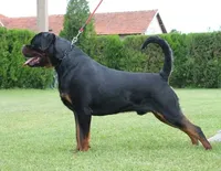 processed/29c8aead-59b4-4205-8451-a39a603cb618/listing/1c42e1c9-174b-4f93-8370-a284170dafd0/cd41d248-cfb7-4ff3-8e32-00bcb5b3f3f9