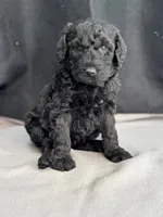 processed/29cff445-14d6-4fc6-a573-aecaa40796d2/listing/1a9e53e9-7f04-4f9f-ba22-6fed3cf30b28/3b54128a-842e-4c43-a61c-7a64057f6484