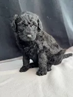 processed/29cff445-14d6-4fc6-a573-aecaa40796d2/listing/1a9e53e9-7f04-4f9f-ba22-6fed3cf30b28/3cb6c9bd-f596-4d79-ba12-e79967fbb4c1