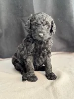 processed/29cff445-14d6-4fc6-a573-aecaa40796d2/listing/1a9e53e9-7f04-4f9f-ba22-6fed3cf30b28/a3362448-935a-4051-aedd-59cb76fd0640