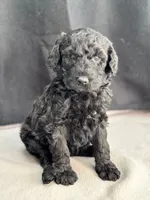 processed/29cff445-14d6-4fc6-a573-aecaa40796d2/listing/1a9e53e9-7f04-4f9f-ba22-6fed3cf30b28/a6e3b17c-cf4c-41fe-81da-e3f91f47e515