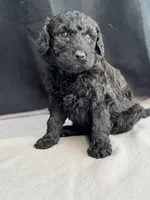 processed/29cff445-14d6-4fc6-a573-aecaa40796d2/listing/1a9e53e9-7f04-4f9f-ba22-6fed3cf30b28/ba00f1cc-b58c-49a5-83f9-84b61fa2c2eb