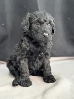 processed/29cff445-14d6-4fc6-a573-aecaa40796d2/listing/1a9e53e9-7f04-4f9f-ba22-6fed3cf30b28/cd065dec-f75b-4693-83fa-e3c0001ccc64