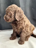 processed/29cff445-14d6-4fc6-a573-aecaa40796d2/listing/29e5e41e-c47c-47a5-9e8f-36cf3e281b1c/019885a1-5a58-42ec-87a7-7b56ba81baee