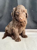 processed/29cff445-14d6-4fc6-a573-aecaa40796d2/listing/29e5e41e-c47c-47a5-9e8f-36cf3e281b1c/27107d60-55e0-4429-828c-610f3dcaf8dd